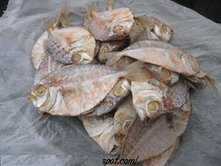 Dried Pony Fish, for Human Consumption, Packaging Type : Plastic Crates, Vacuum Pack