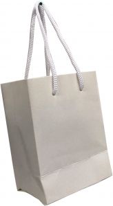 Plain Disposable Paper Bag