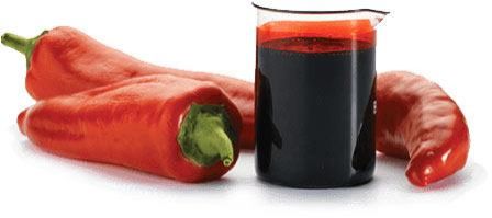 capsicum oleoresin