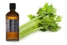 Celery Oleoresin