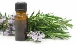 Rosemary Oleoresin