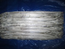 Alga ribbonfish, Style : Frozen