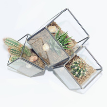 Indoor Glass terrarium with metal