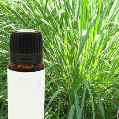 Ayurvedic Ginger Grass Oil