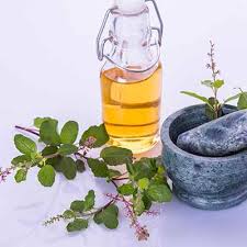 Essential Tulsi Oil, Purity : 99%