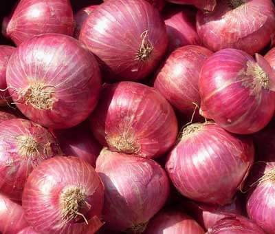 Big Red Onion, Shelf Life : 2 Months