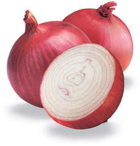 Organic fresh onion, Shelf Life : 1month