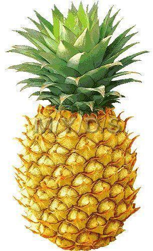 Fresh Pineapple, Packaging Type : Plastic bags, box, Packets