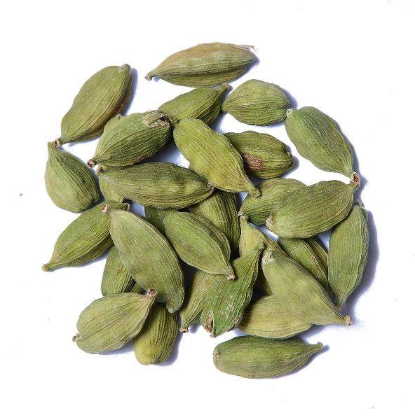 Green Cardamom, Packaging Type : Plastic bags, Packets
