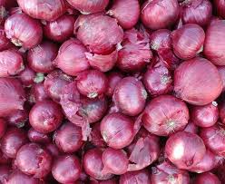 Indian Red Onion, Shelf Life : 15-30days