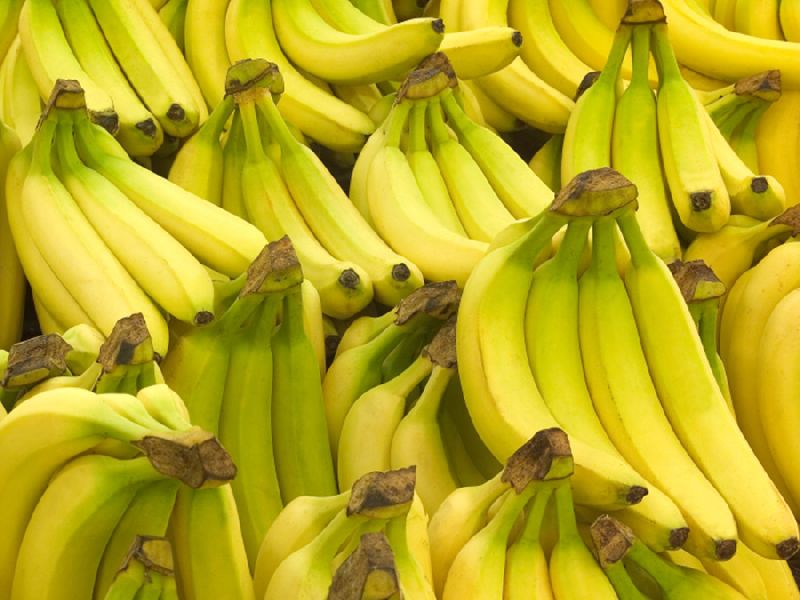 Organic Natural Banana, Packaging Type : Plastic bags, box, Packets