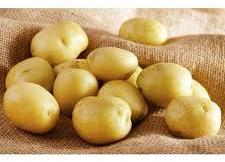 Organic Natural Potato, Packaging Type : Plastic bags, box, Packets