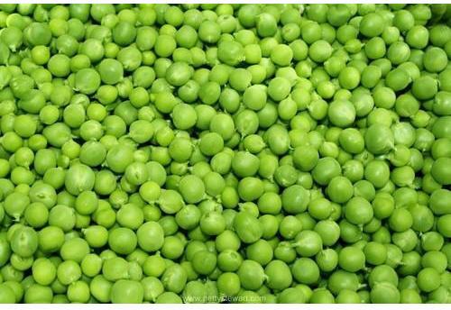 Organic Green Peas, Shelf Life : 8-10Days