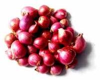 Small red onion, Shelf Life : 15-30days