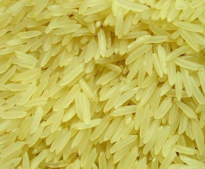 Hard Organic Parboiled Basmati Rice, for Gluten Free, Variety : Long Grain, Medium Grain