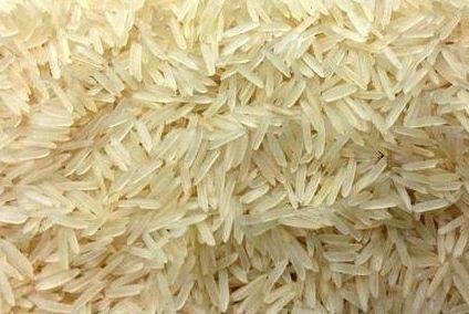 Hard Organic Sharbati Basmati Rice, for High In Protein, Style : Dried