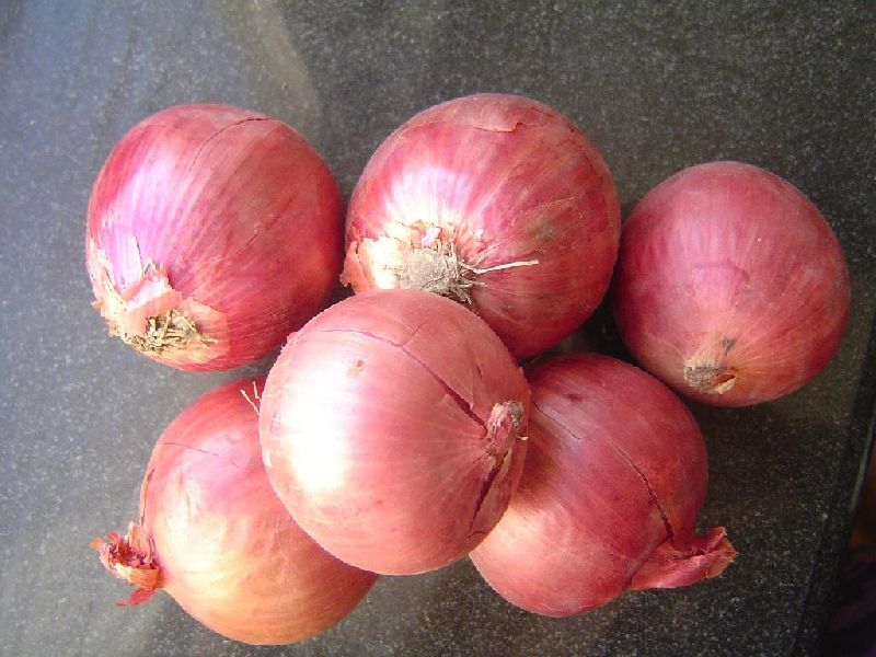Natural Fresh Pink Onion, Shelf Life : 15days