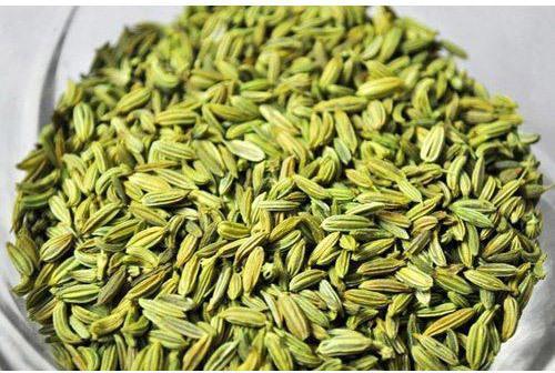 Organic Green Fennel Seeds, for Food Flavoring, Medicine, Natural Perfumery, Packaging Size : 100ml