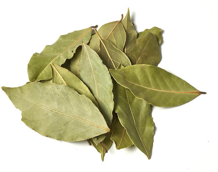 Indian Bay Leaf, Supply Type : Bulk