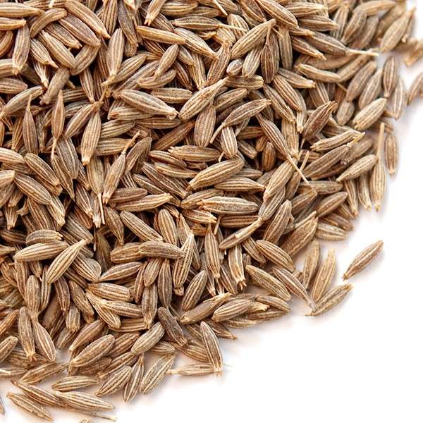 Indian cumin seeds, for Cooking, Feature : Improves Digestion, Non Harmful