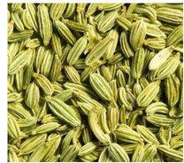 indian fennel seeds