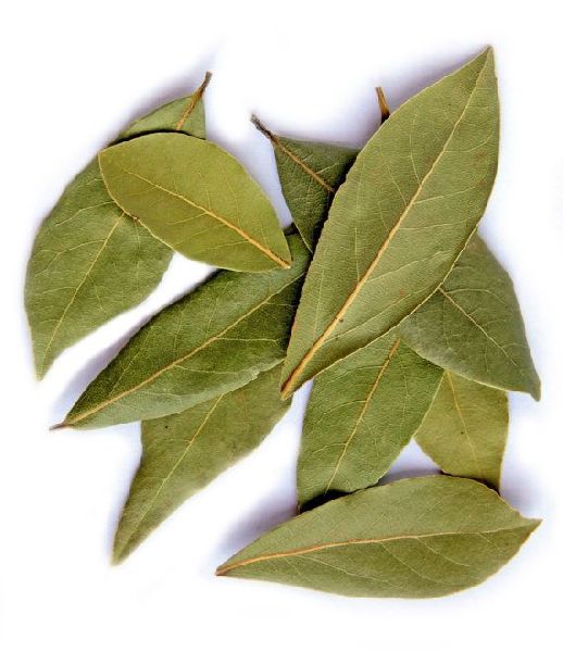 Natural Bay Leaf