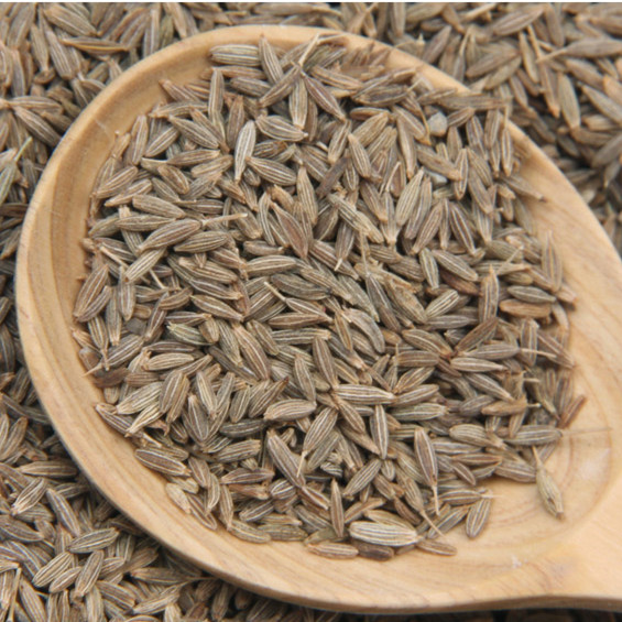 Pure Cumin Seeds, for Cooking, Feature : Premium Quality