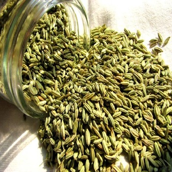 Pure Fennel Seeds, Color : Green