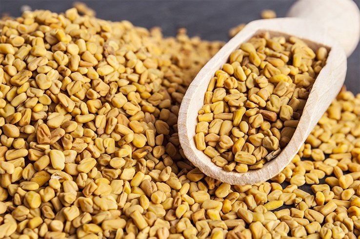 yellow fenugreek seeds