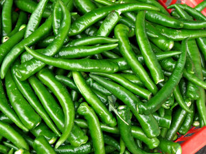 Natural Fresh Green Chilli, Packaging Type : Jute Bag