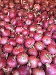 Round Organic Fresh Natural Onion, for Human Consumption, Color : Red
