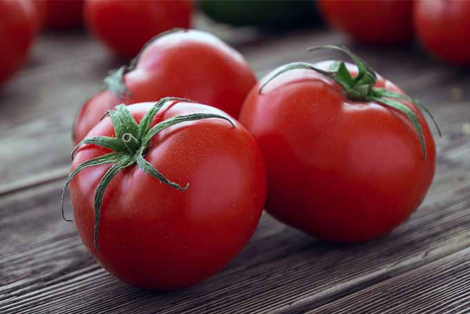Organic Fresh Red Tomato