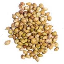 Organic Coriander Seeds, Color : Green