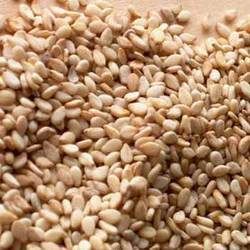 Organic Sesame Seeds