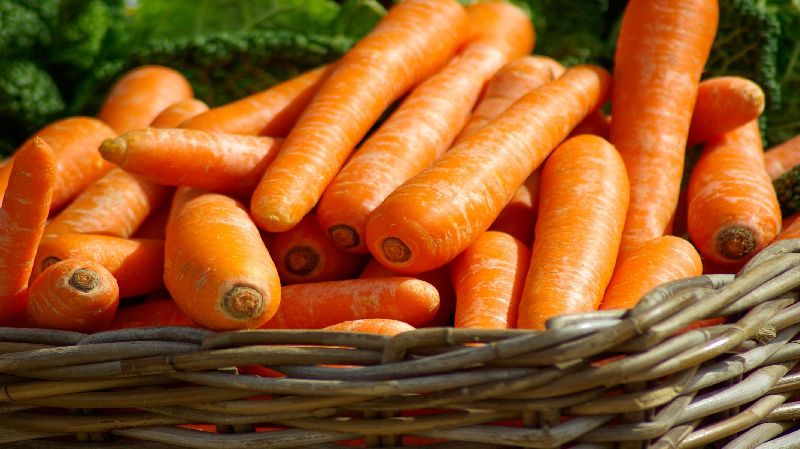 Organic Fresh Carrot, for Food, Juice, Pickle, Color : Red