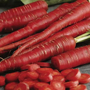 Organic Red Carrot, for Food, Juice, Pickle, Snacks, Style : Fresh