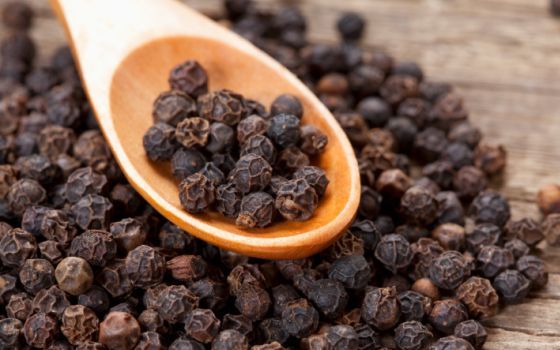 Common black pepper