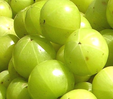 Common Natural Amla, Packaging Type : 100g, 1 kg, 250g