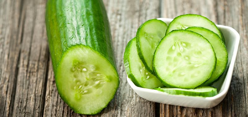 Organic Fresh Cucumber,fresh Cucumber