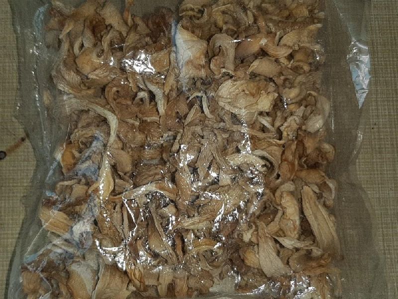 Dry oyster mushroom, Packaging Type : Plastic Bag, Polythene Bag