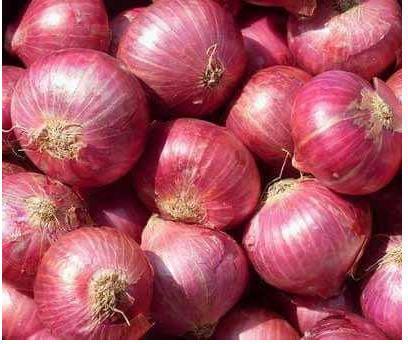 Indian Red Onion