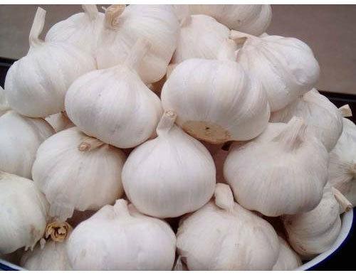 Organic Natural Fresh Garlic, for Cooking, Snacks, Feature : Moisture Proof