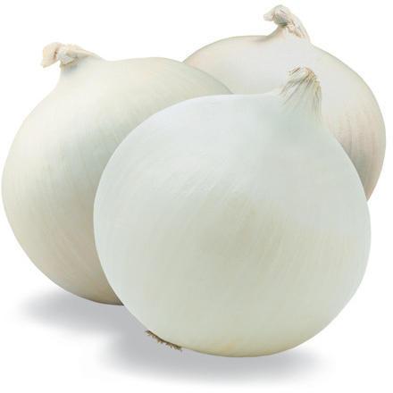 Sweet White Onion