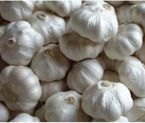 Organic White Fresh Garlic, for Cooking, Snacks, Feature : Moisture Proof