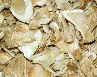 Organic Dried Premium Oyster Mushroom, for Cooking, Oil Extraction, etc, Packaging Type : Plastic Bag