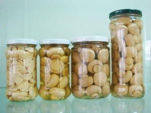 Pure Canned Button Mushroom, Shelf Life : 3-7days