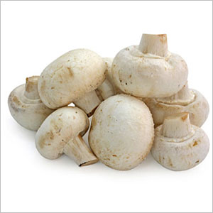 Organic Whole Button Mushroom, for Cooking, Oil Extraction, Packaging Type : Plastic Bag