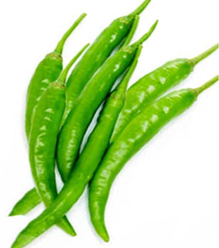 fresh green chilli