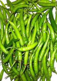 Organic Fresh Green Long Chilli, Packaging Type : Pp Bag