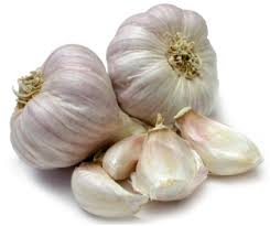 Common Natural Garlic